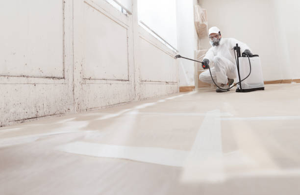 24/7 Emergency Mold Removal experts in Linden, NJ