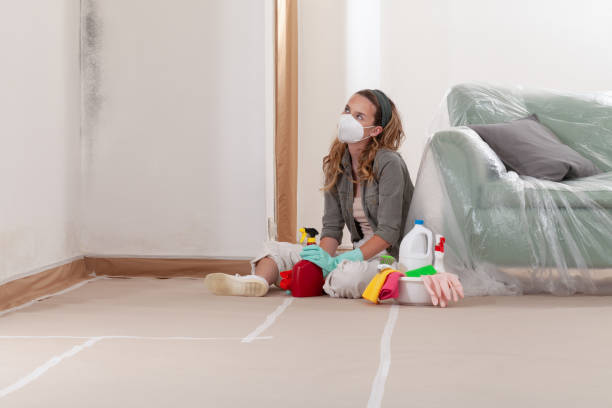 Reliable Mold Removal contractor in Linden, NJ by WQB Mold Removal